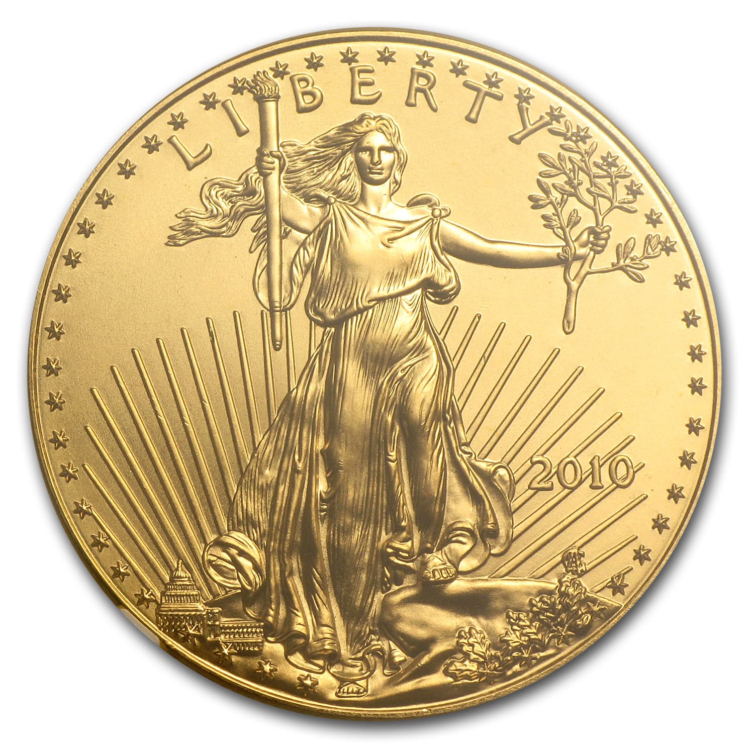 https://www.images-apmex.com/images/products/2010-1-oz-american-gold-eagle-ms-69-ngc_59456_Obv.jpg