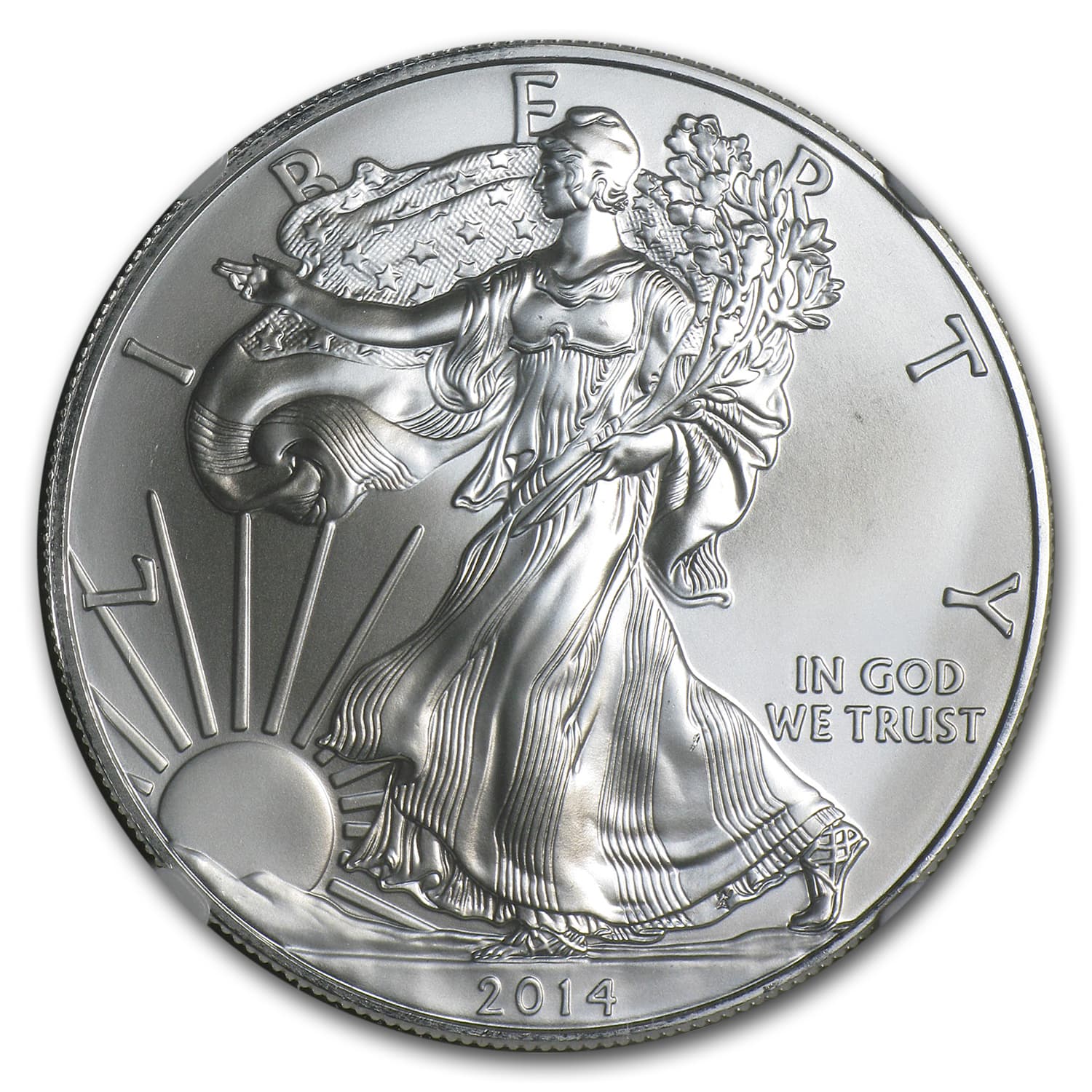 https://www.images-apmex.com/images/products/2014-s-american-silver-eagle-ms-69-ngc_91680_Obv.jpg