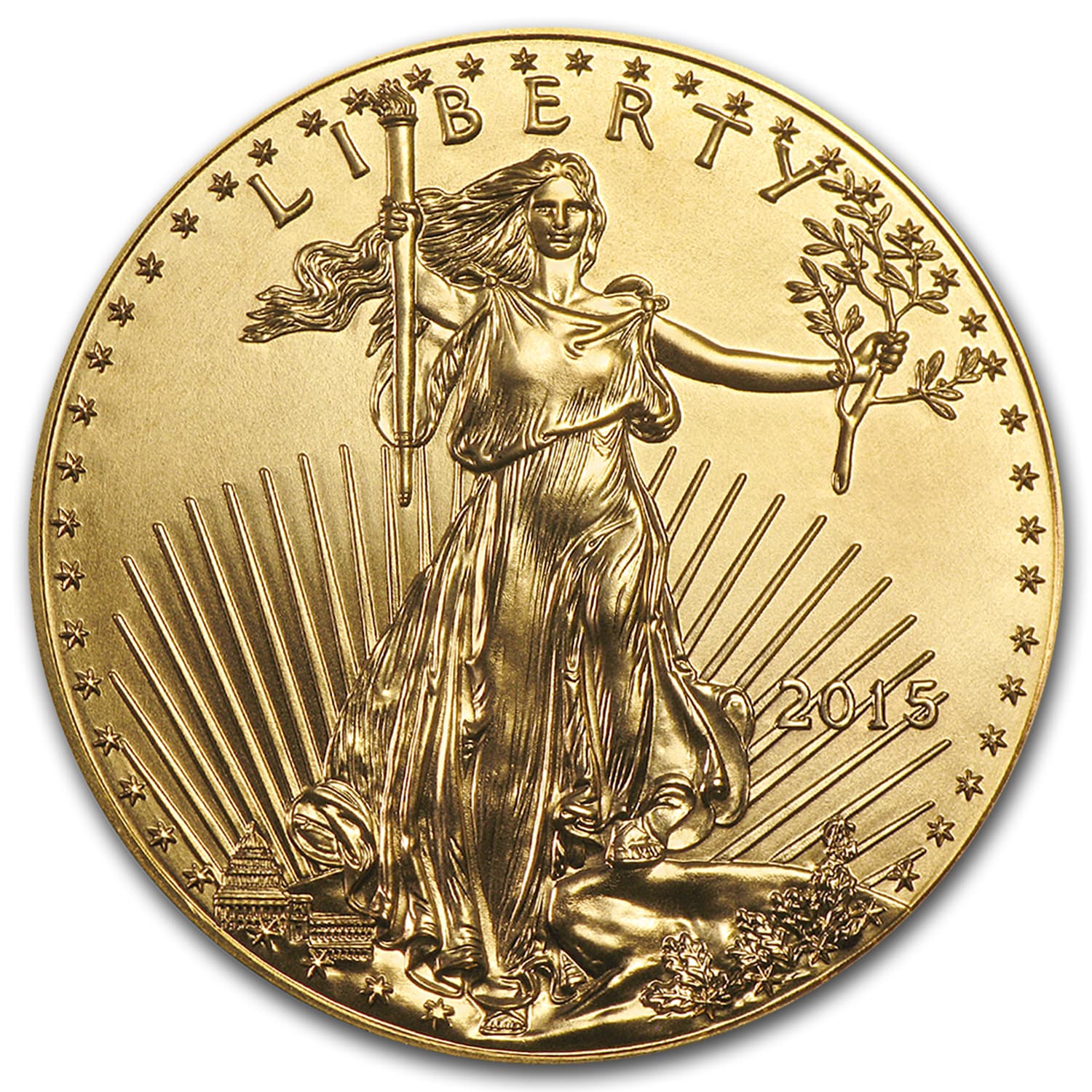 https://www.images-apmex.com/images/products/2015-1-2-oz-american-gold-eagle-bu_84884_Slab.jpg