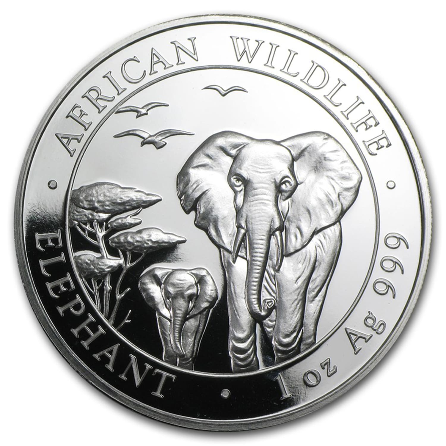 https://www.images-apmex.com/images/products/2015-somalia-1-oz-silver-elephant-bu_84833_Slab.jpg