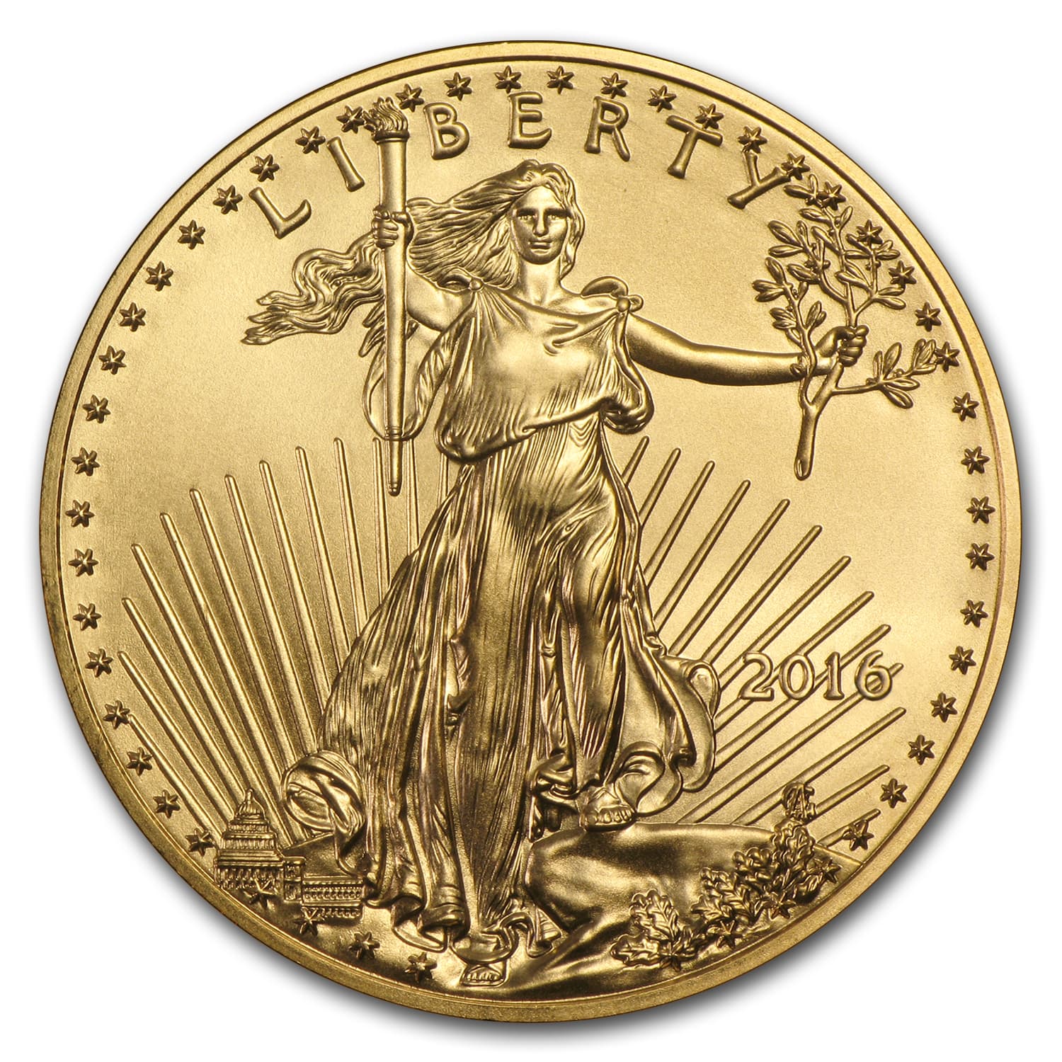 https://www.images-apmex.com/images/products/2016-1-oz-american-gold-eagle-ms-70-ngc_132154_Obv.jpg
