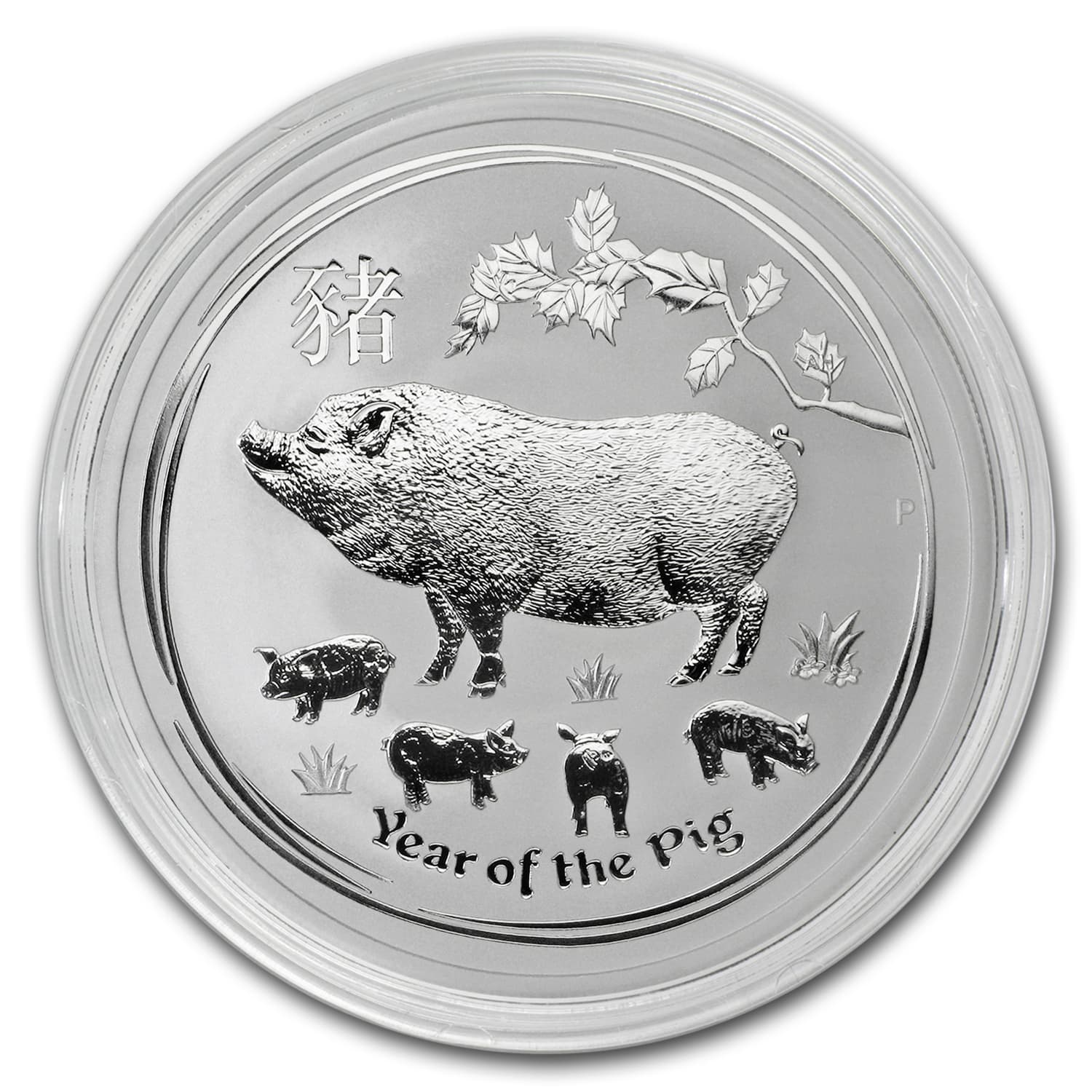 https://www.images-apmex.com/images/products/2019-australia-2-oz-silver-lunar-pig-bu_171769_cap.jpg