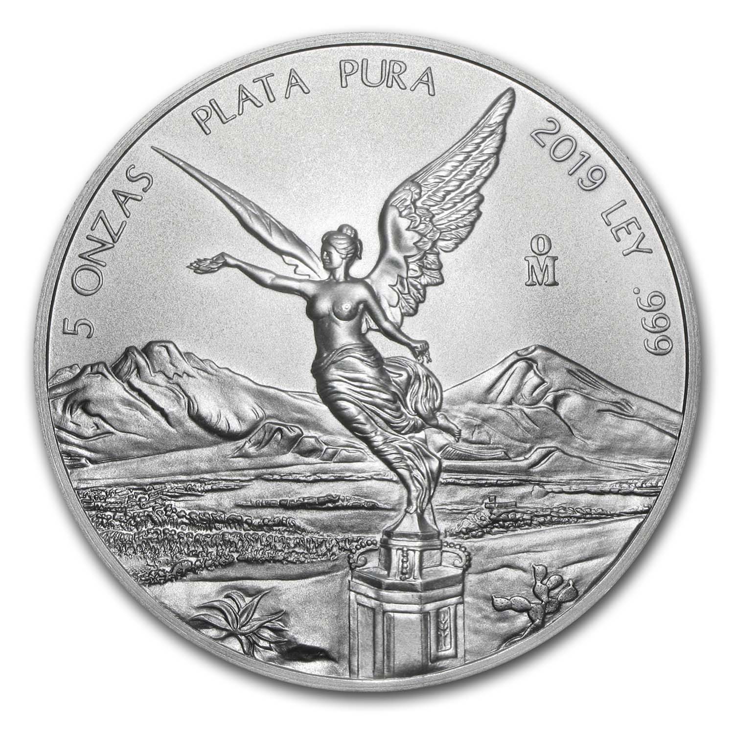https://www.images-apmex.com/images/products/2019-mexico-5-oz-silver-libertad-bu_186581_obv.jpg