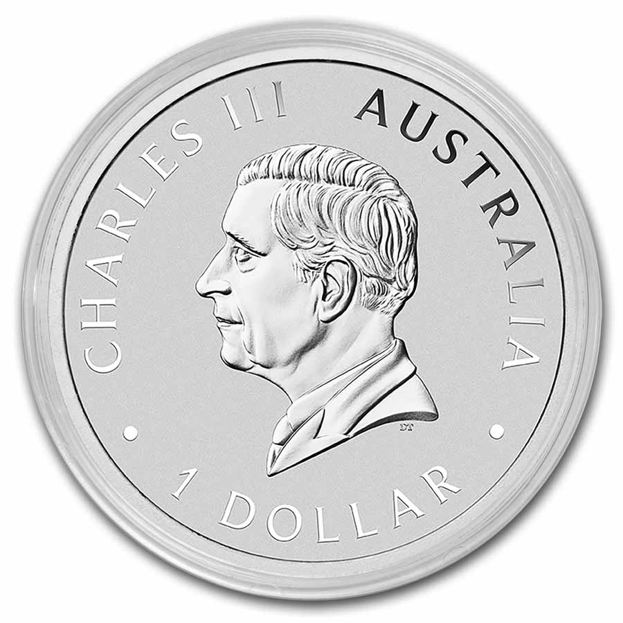 https://www.images-apmex.com/images/products/2025-australia-1-oz-silver-swan-bu_301049_a.jpg