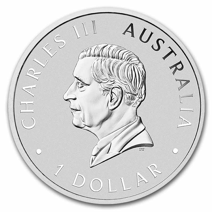 https://www.images-apmex.com/images/products/2025-australia-1-oz-silver-swan-bu_301049_obv.jpg