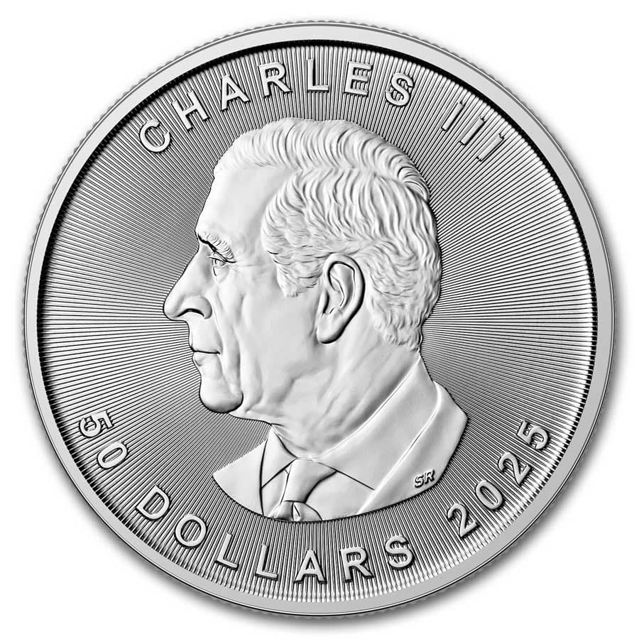 https://www.images-apmex.com/images/products/2025-canada-1-oz-platinum-maple-leaf-bu_304144_rev.jpg