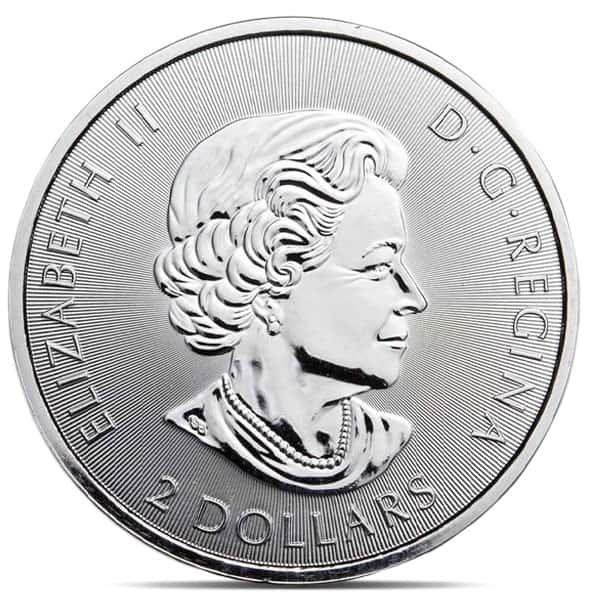 https://www.moneymetals.com/images/products/2019-half-oz-silver-rcm-coin-polar-bear-obverse.jpg
