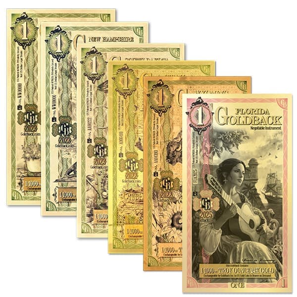 1 Goldback Mixed Bundle - 1/1000th Troy Oz .9999 Gold-Backed Bills, One Per State (6 Total)