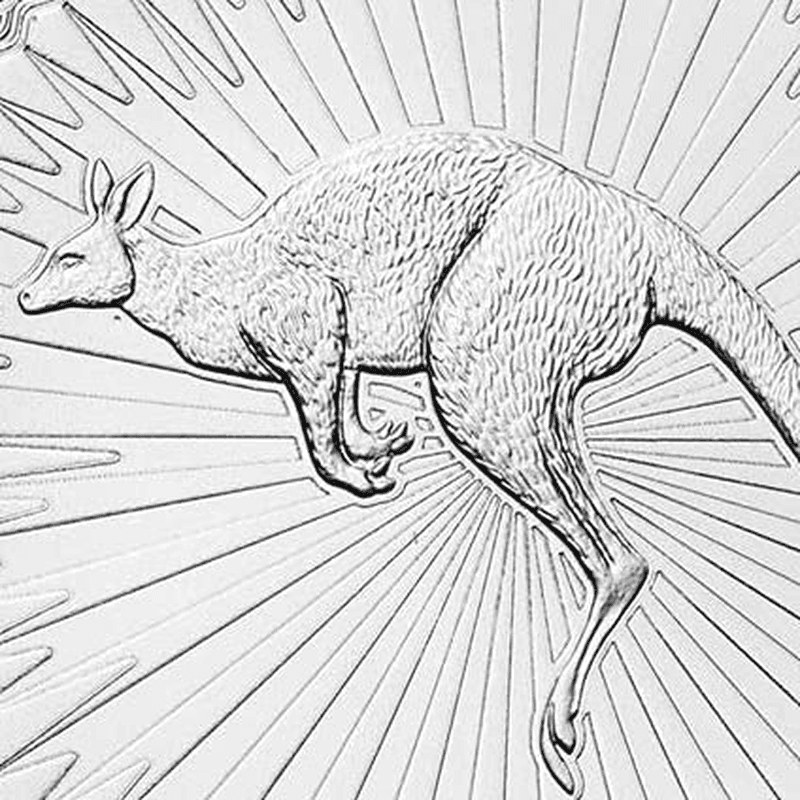 https://static.bullionmatch.com/royalty-precious-metals--Random-Year_1-Oz-Silver-Australian-Kangaroo_Close-Up_Pic.png